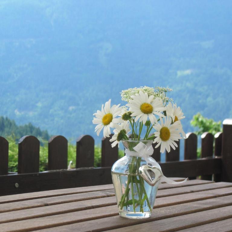 Chalet Catton Four bedroom appartement near Bad Kleinkirchheim - Doppelzimmer - 13