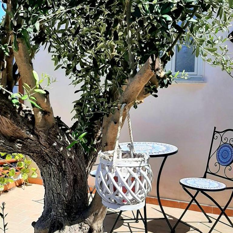 La casetta degli ulivi - One-Bedroom House - 3