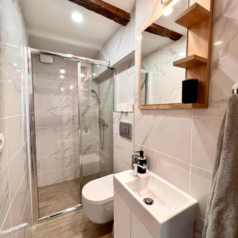 Stone House Central Belgrade Studio - Apartman sa 1 Spavaćom Sobom - 9