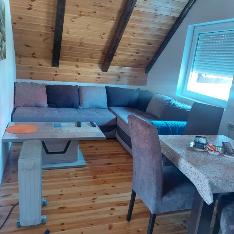 Apartmani Popovic Lux - Apartment - 4