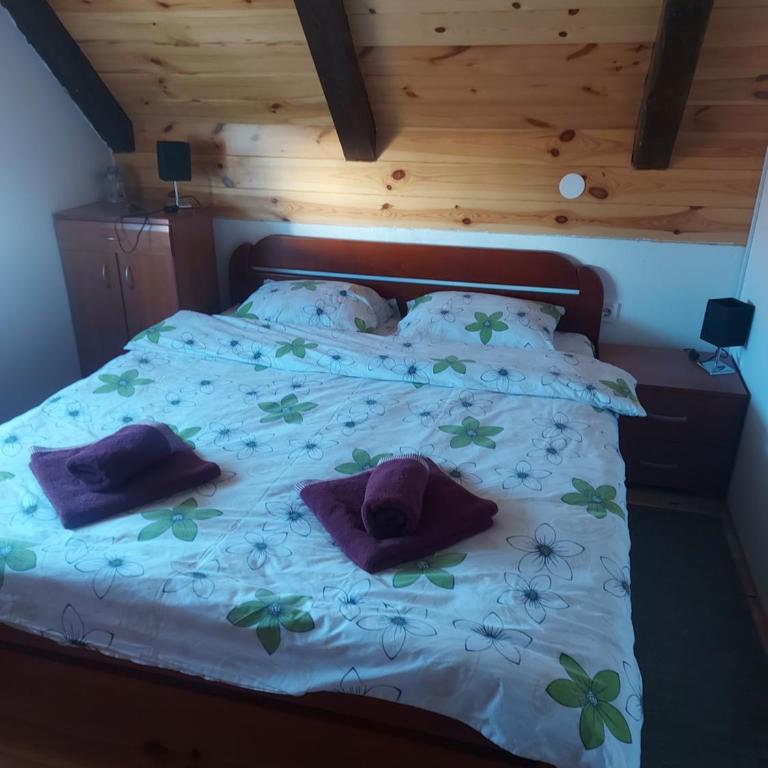 Apartmani Popovic Lux - Apartment - 5