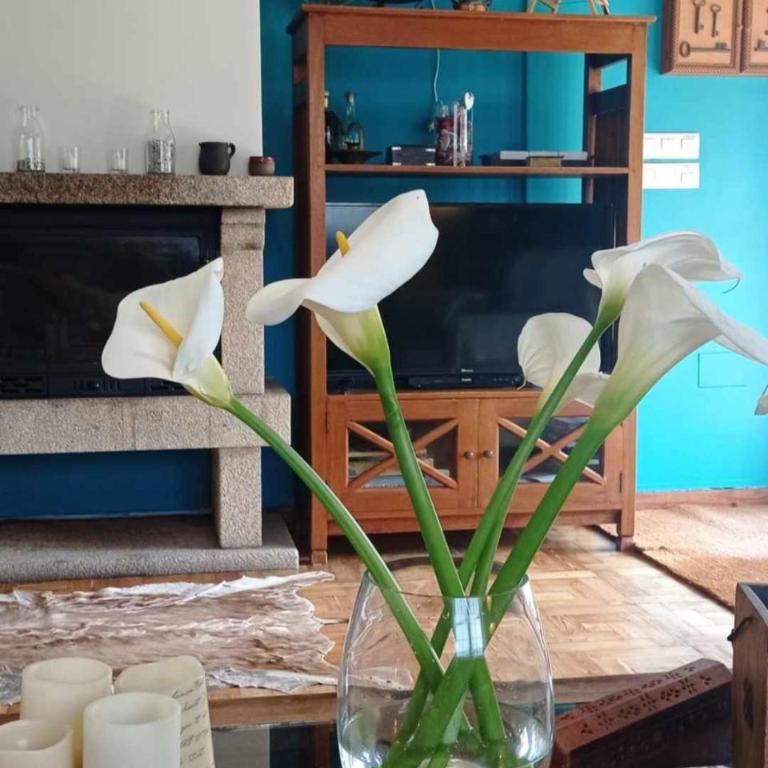 Casa Rural Pontevedra con piscinajardínbarbacoa - Four-Bedroom House - 12