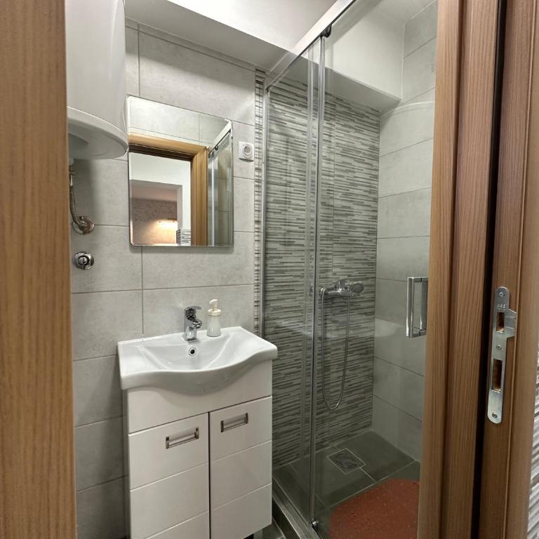 Aster Apartments - Deluks Studio sa Bračnim Krevetom (King-size) - 7