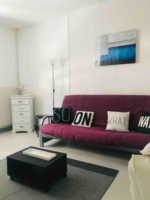 REIMS - Duplex au cœur du quartier Saint-Remi - Appartement 2 Chambres - 6