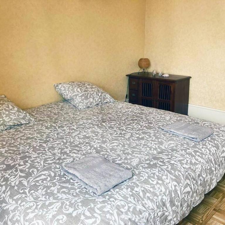Charmant T3 proche du centre-ville - Two-Bedroom Apartment - 4