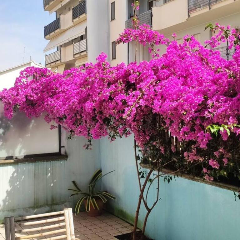 GardenHouse Un Angolo di Paradiso - One-Bedroom Apartment - 17