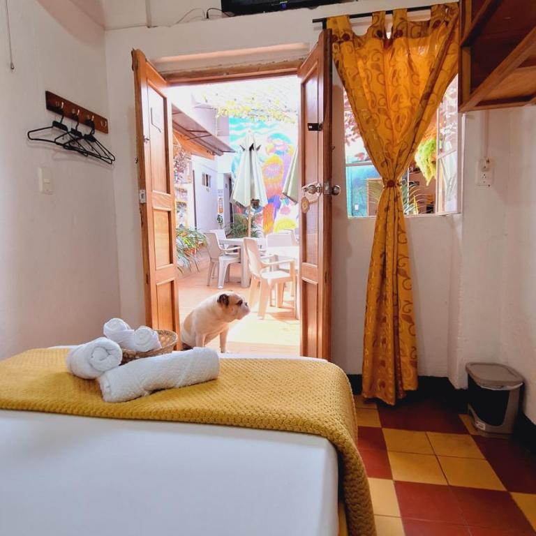 Hostal Colombian Gold - Habitación Doble con baño compartido - 10