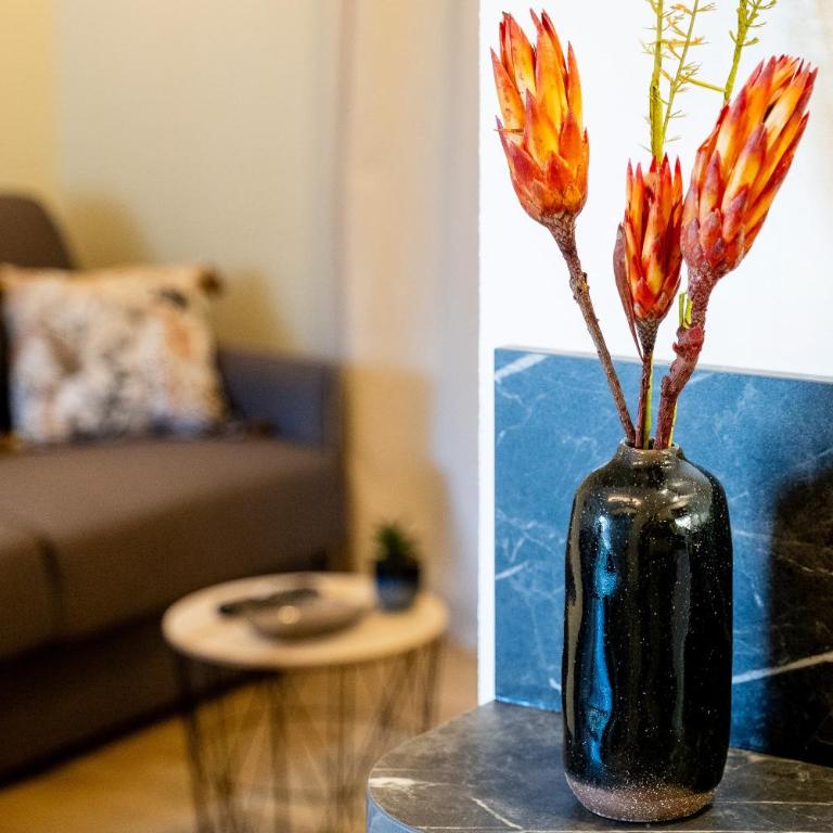 Appart. T 1 Bis, centre ville, entièrement rénové - Apartamento de 1 dormitorio - 15