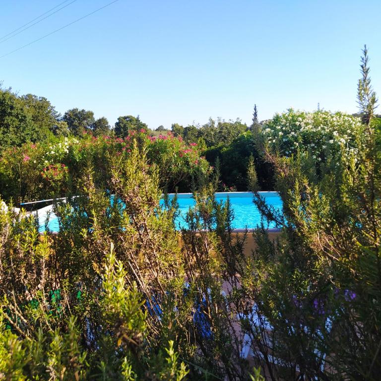 Trulli con piscina privata - Casa con 4 camere da letto - 4