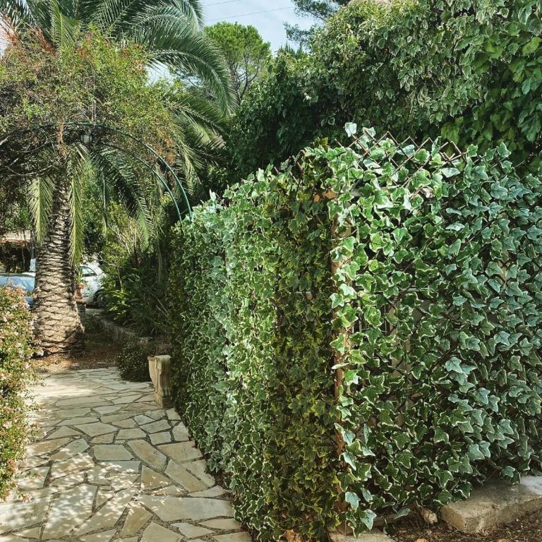 Bastide Aïna SPA et piscine - Maison 3 Chambres - 13