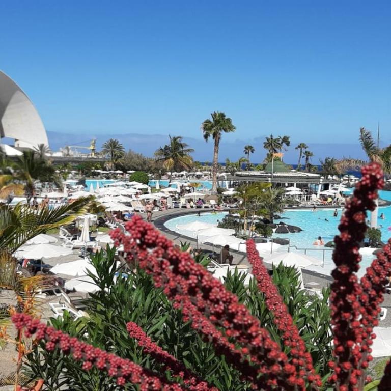 Fresh apartment in Las Americas, PE210 next to the beach - Apartamento de 1 dormitorio - 15