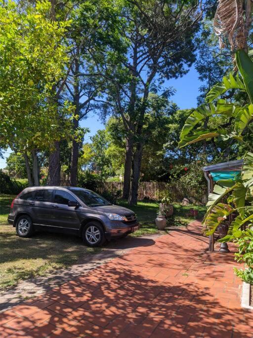La Cachuera, Cabaña con Pileta, 200 M del Rio - One-Bedroom House - 4
