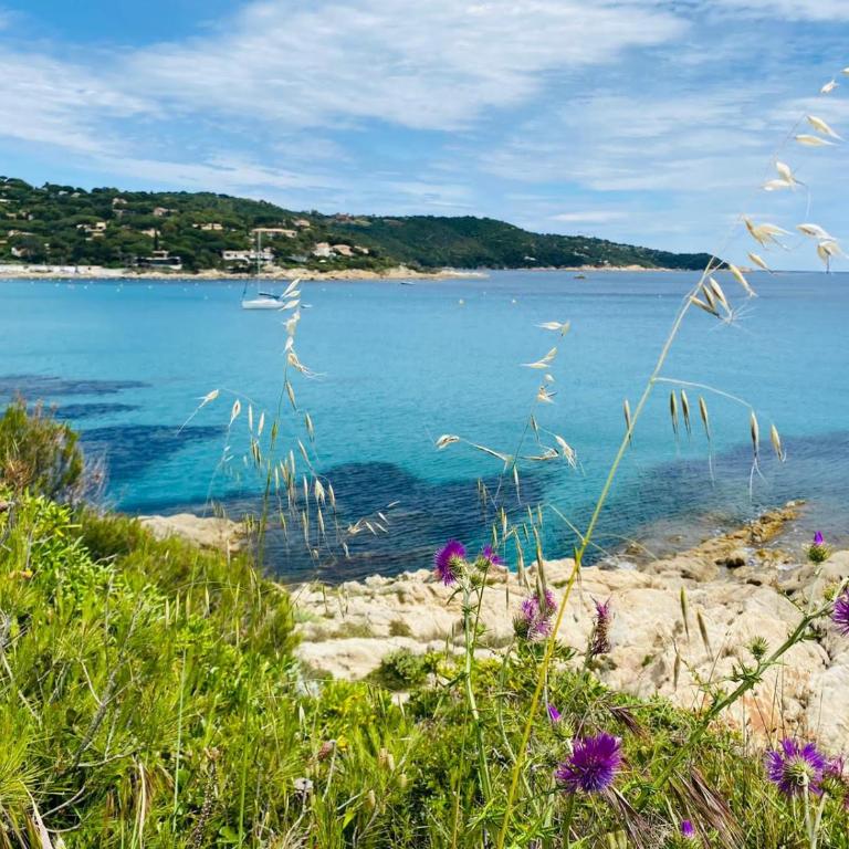 Villa Paradise Vue Mer Golfe de Saint Tropez 8 couchages - Villa - 49