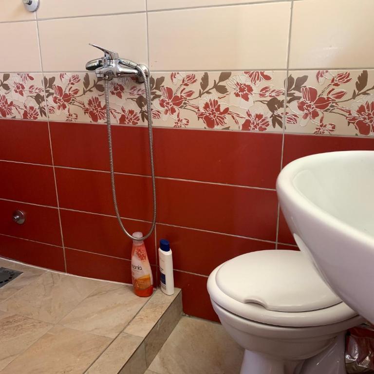 U Villi BB Gornji Zalik bb - Two-Bedroom Apartment - 18