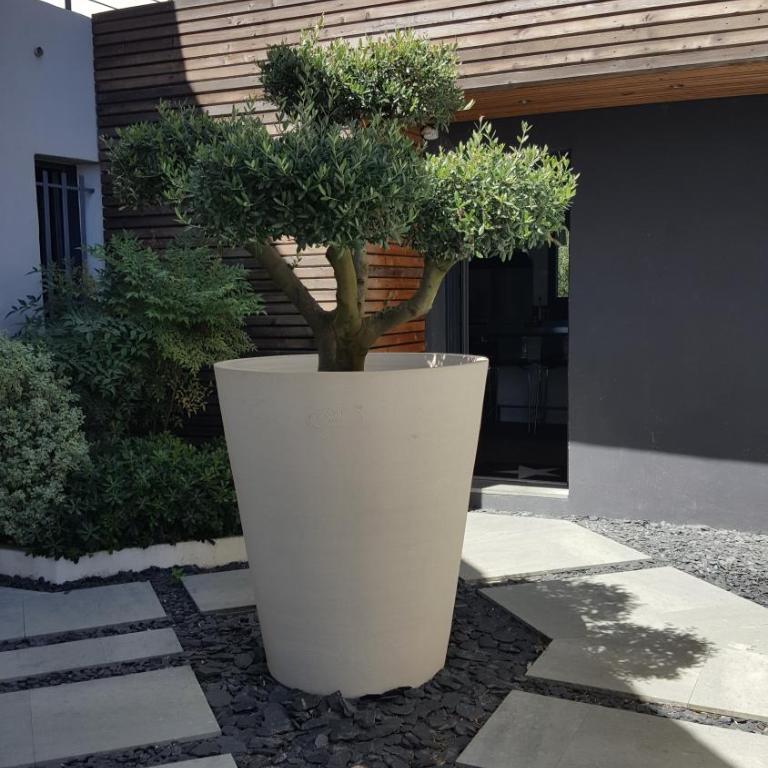 VILLA MONTPELLIER - Villa - 10