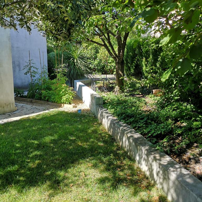 VILLA MONTPELLIER - Villa - 17