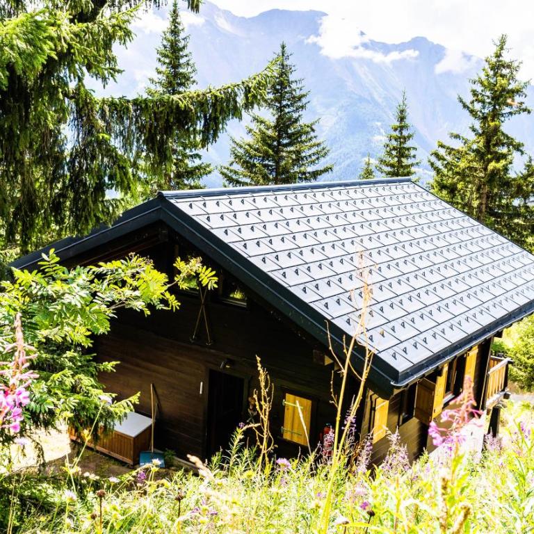 Chalet Eichhornli, Riederalp Golmenegg - Apartment mit 3 Schlafzimmern - 15