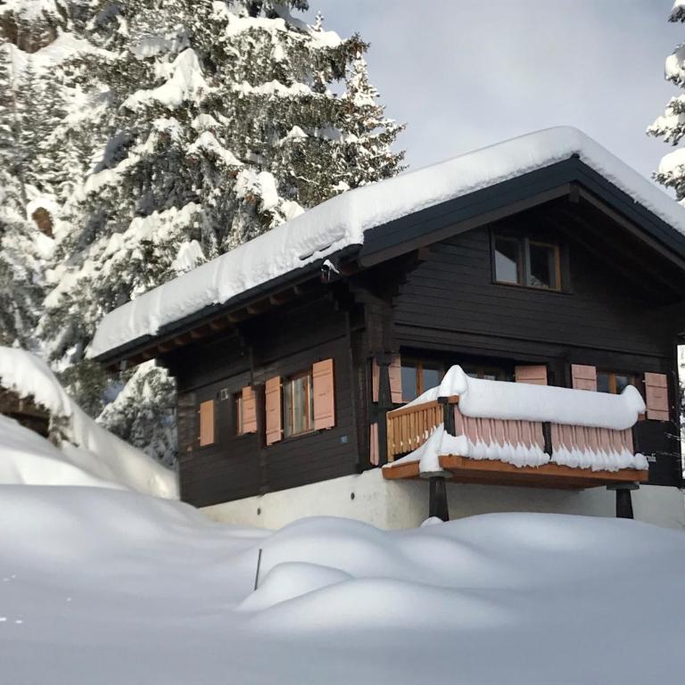 Chalet Eichhornli, Riederalp Golmenegg - Apartment mit 3 Schlafzimmern - 16