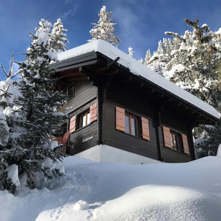 Chalet Eichhornli, Riederalp Golmenegg - Apartment mit 3 Schlafzimmern - 19