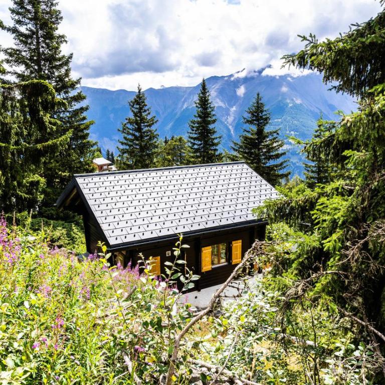 Chalet Eichhornli, Riederalp Golmenegg - Apartment mit 3 Schlafzimmern - 20