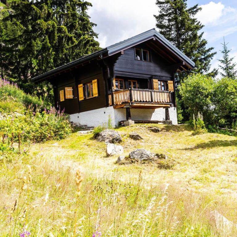 Chalet Eichhornli, Riederalp Golmenegg - Apartment mit 3 Schlafzimmern - 25