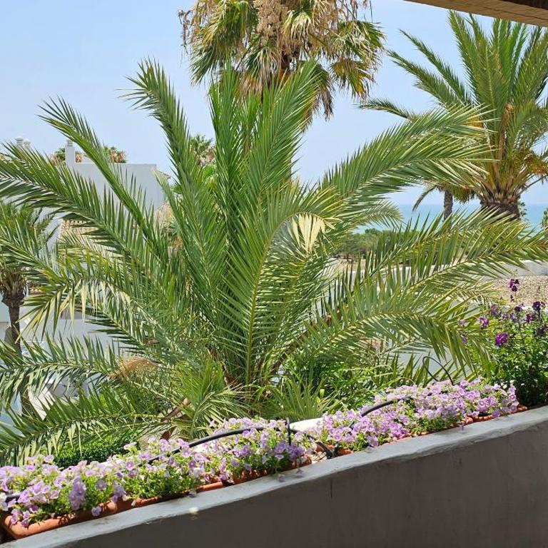 Ático Costa Ballena playa infante. 1º línea playa - Two-Bedroom Apartment - 14