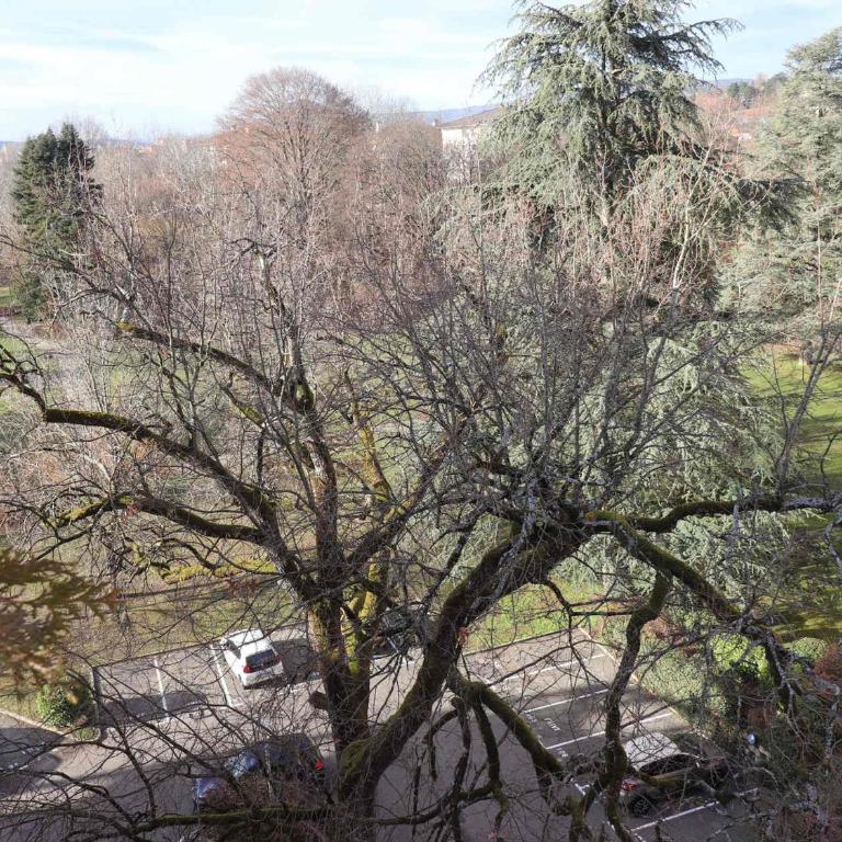 Superbe T2 avec terrasse de 60m² et parking privé à Annecy - FR-1-432-74 - Appartement (2 Adultes) - 6