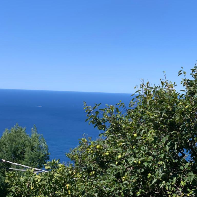 VistaMare & Relax Cinque Terre SeaView & Relax Cinque Terre - Apartment mit 1 Schlafzimmer - 56