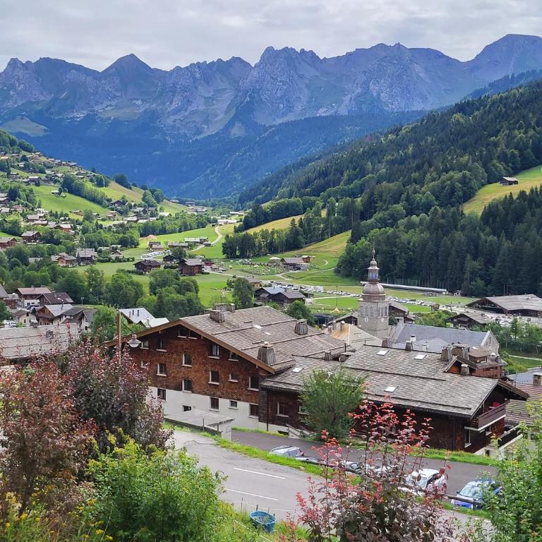 Appartement cosy face aux Aravis - Appartamento con 1 Camera da Letto - 26