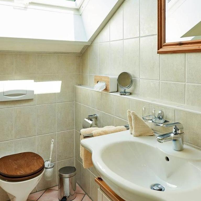 Ferienvilla Gaisser - Apartment mit 1 Schlafzimmer und Dusche - 1
