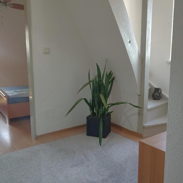 Prein Apartments --- Self-Check-In --- Nähe Red Bull Ring - Maisonnette - 4