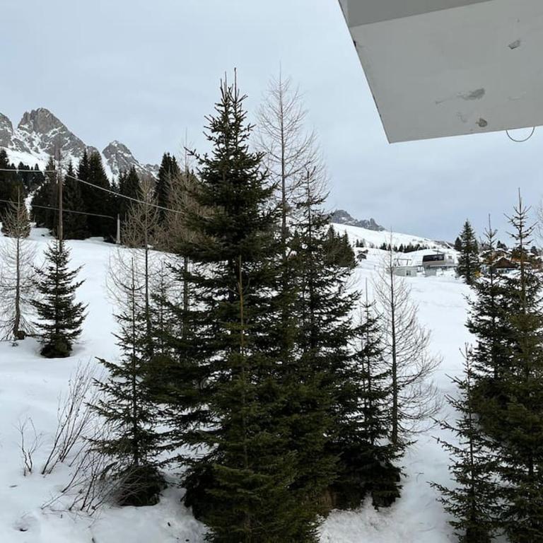Casina Alpina trekking Passo S Pellegrino - Appartamento con 1 Camera da Letto - 25