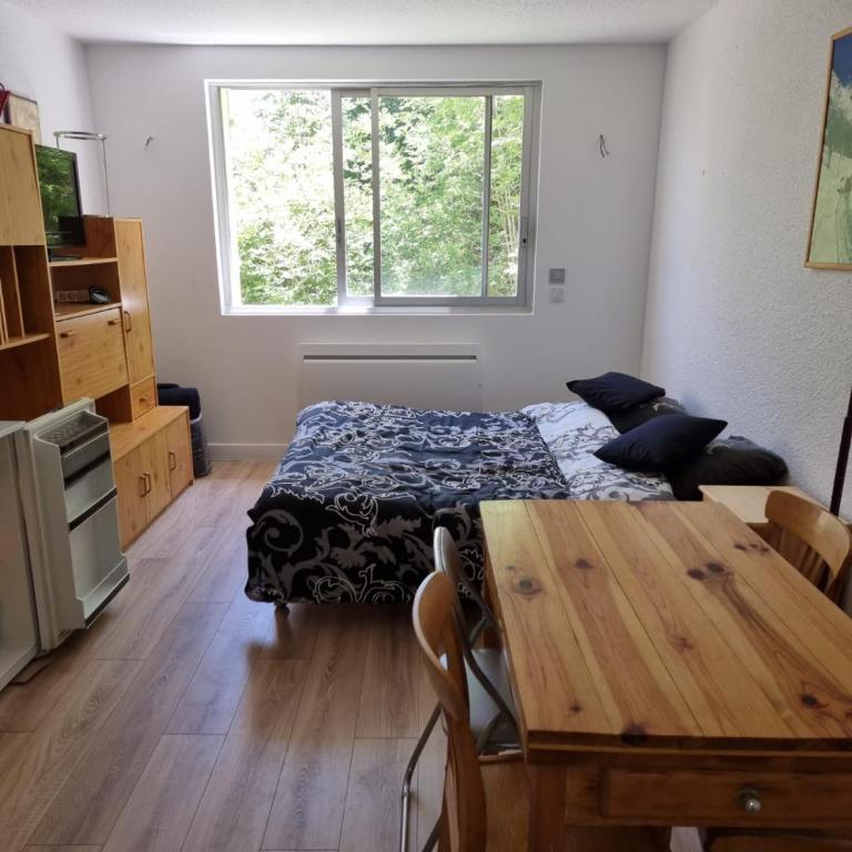 Studio La Grande Chaume A - Studio - 5
