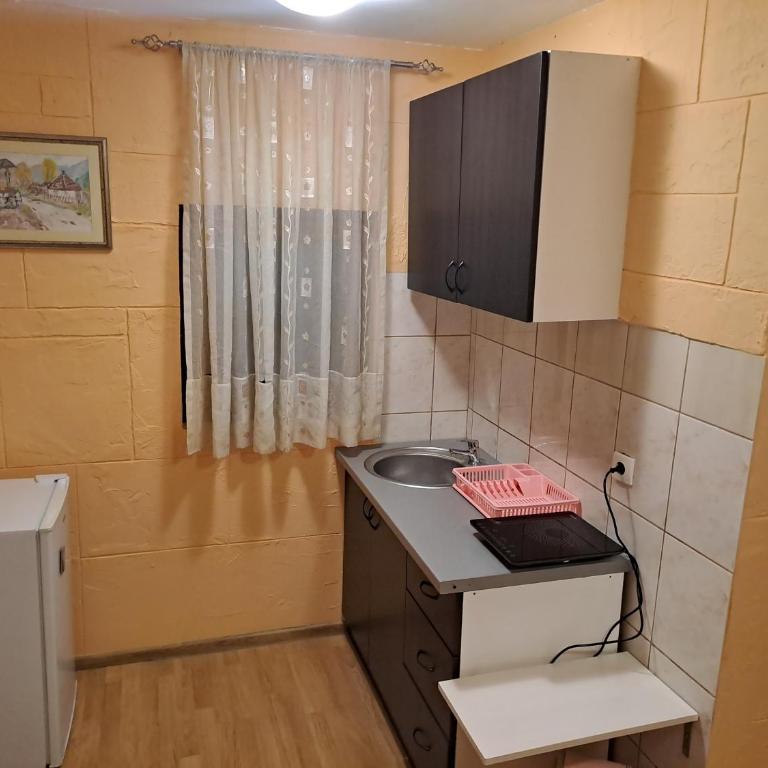 SAŠA - Apartman sa 1 Spavaćom Sobom - 5