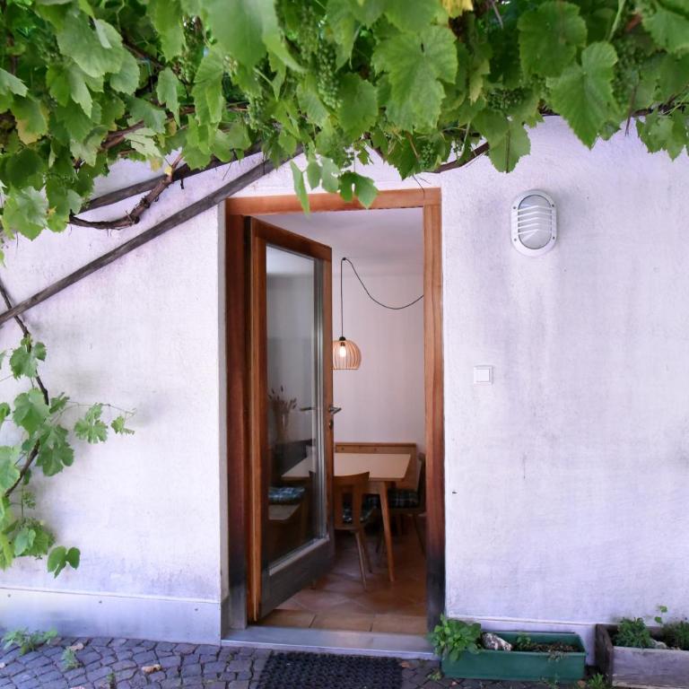 Salina number 1 - Apartamento de 1 dormitorio - 5