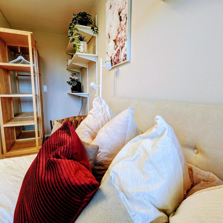 Kuschelig im Allgäu - Apartment mit 1 Schlafzimmer - 2