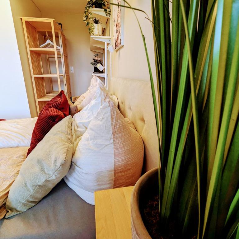 Kuschelig im Allgäu - Apartment mit 1 Schlafzimmer - 20