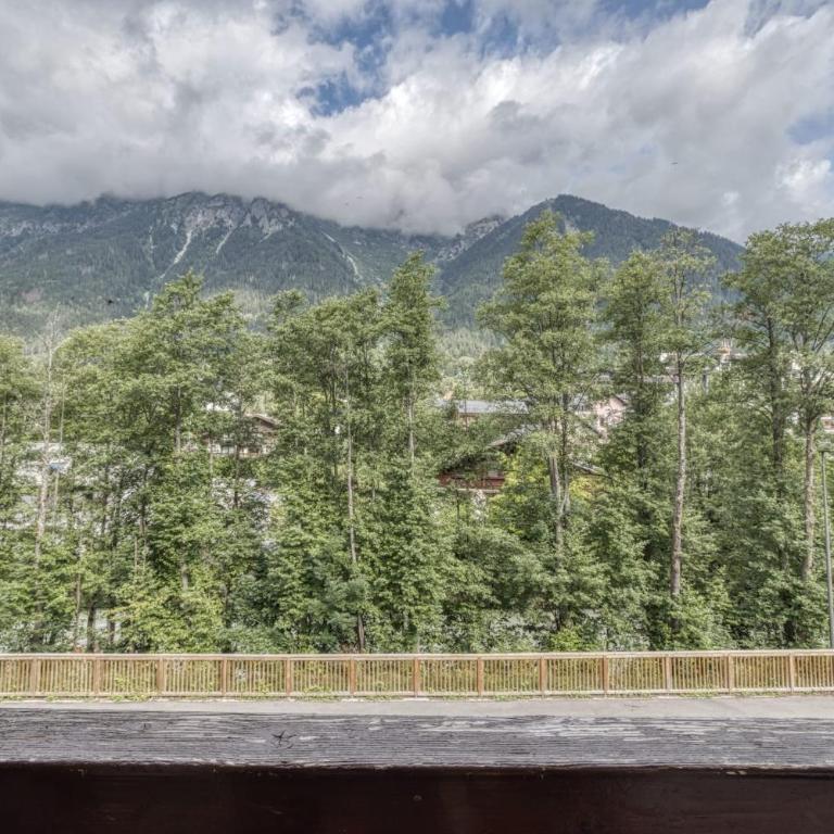 Aiguille du Grépon - Bright Apartment in the Heart of Chamonix - Apartment - 15