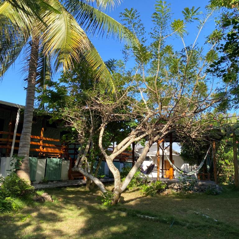 La Peregrina Galapagos B&B - Habitación Familiar - 8