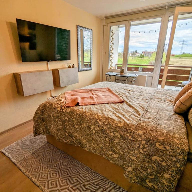Schmuckstück im Allgäu - Appartamento con 1 Camera da Letto - 7