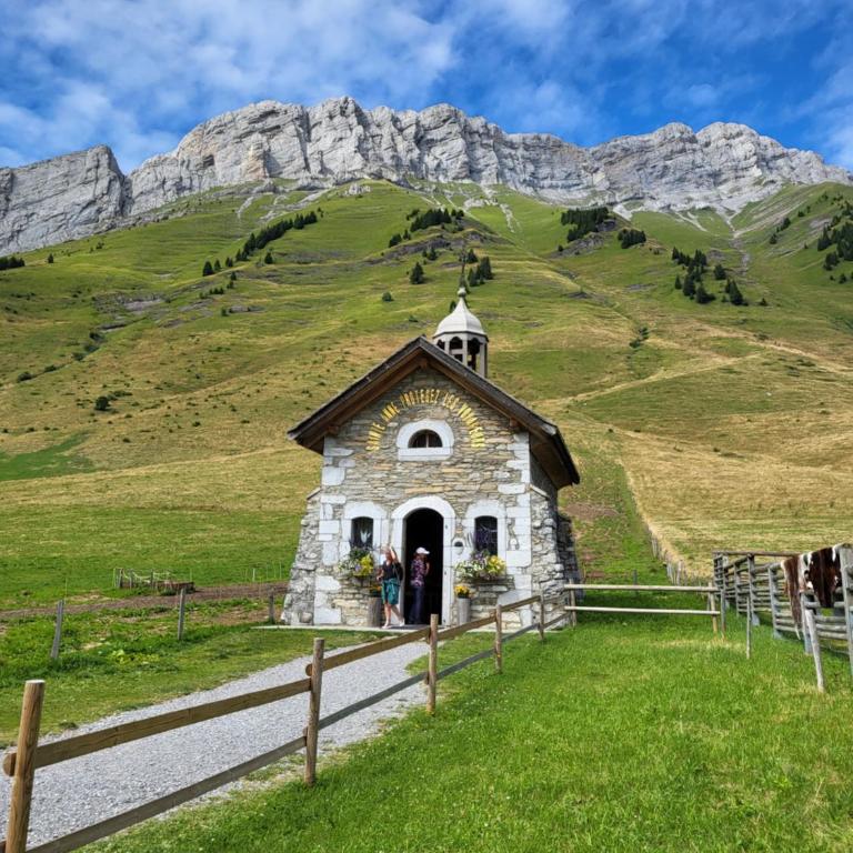 Appartement cosy face aux Aravis - Appartamento con 1 Camera da Letto - 30