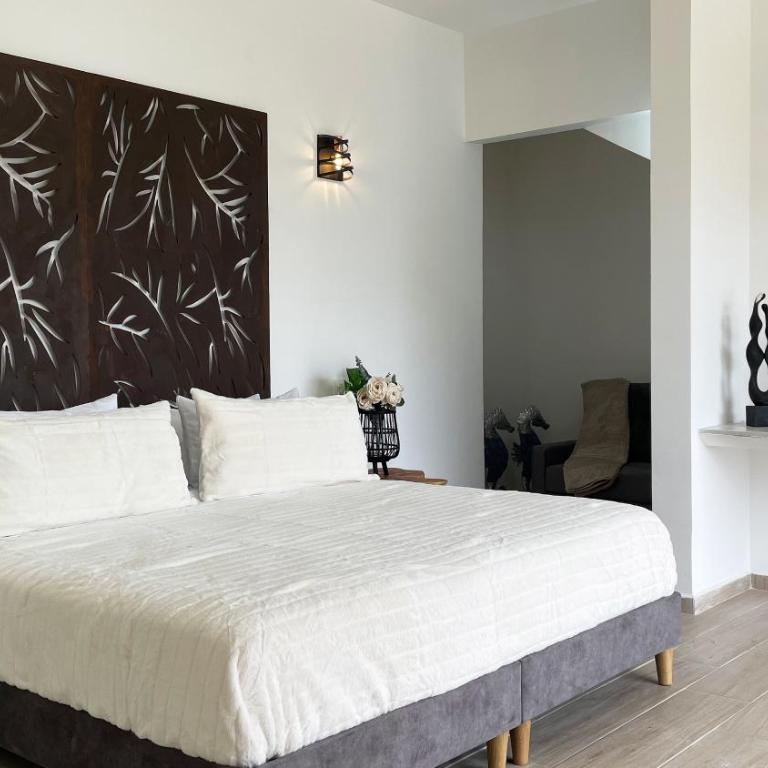 Aguas Claras Luxury Hospedaje - Estudio con cama extragrande y sofá cama - 14