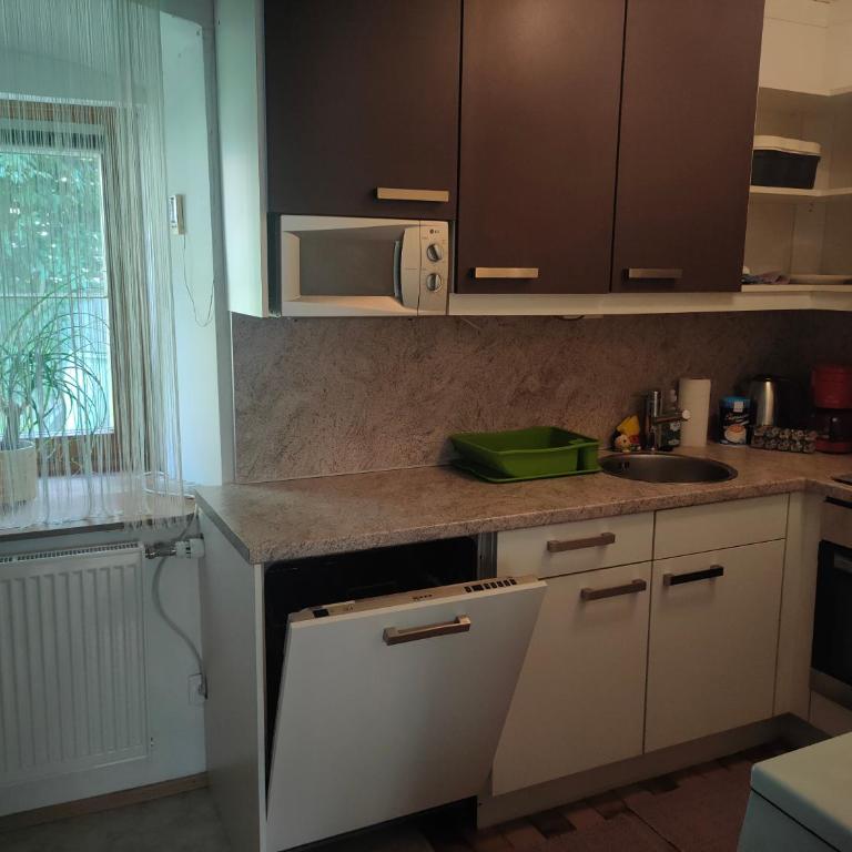 Holiday Apartment Murtal - Apartment mit 1 Schlafzimmer - 10