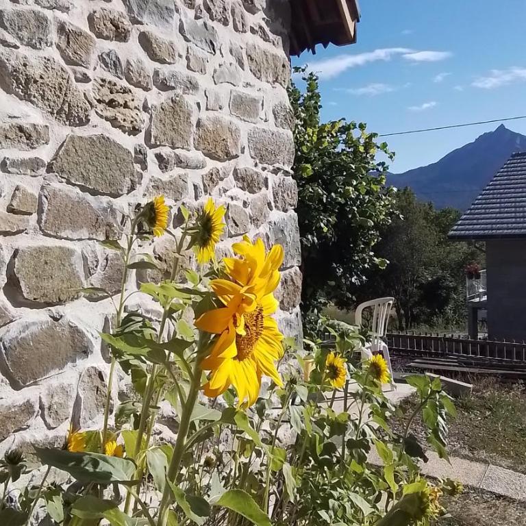 Le clos des anges - Maison 1 Chambre - 24