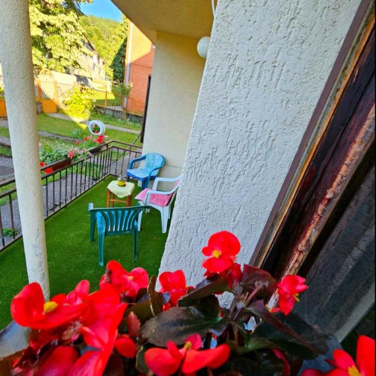 Petra - Apartman sa 1 Spavaćom Sobom - 6