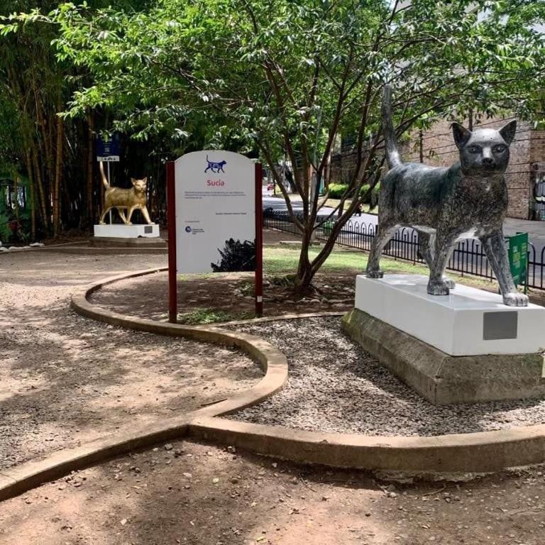 Hab Nawi con Aire Acondicionado - Habitación Individual Económica - 8