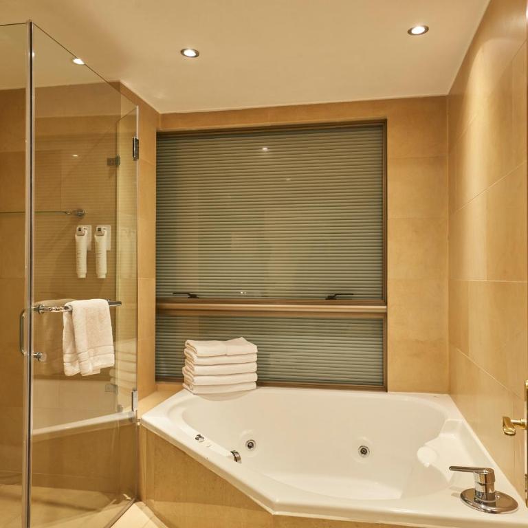 Plaza El Bosque Ebro - Suite Presidencial - 8