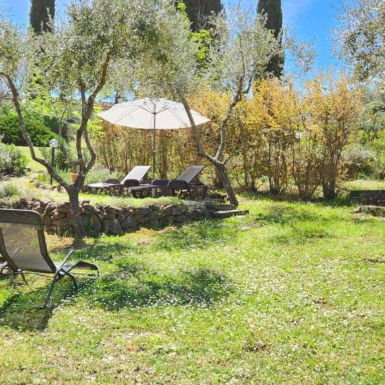 Lindo Apartamento no coração do Chianti! - Appartamento - Piano Terra - 26