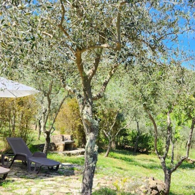 Lindo Apartamento no coração do Chianti! - Appartamento - Piano Terra - 30