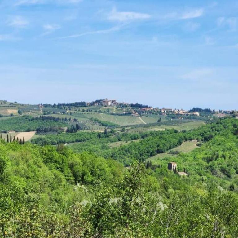 Lindo Apartamento no coração do Chianti! - Appartamento - Piano Terra - 31